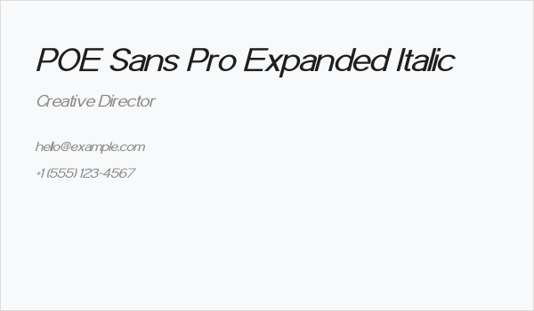 POE Sans Pro Expanded Italic Business Card