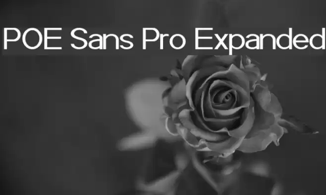 POE Sans Pro Expanded Font examples