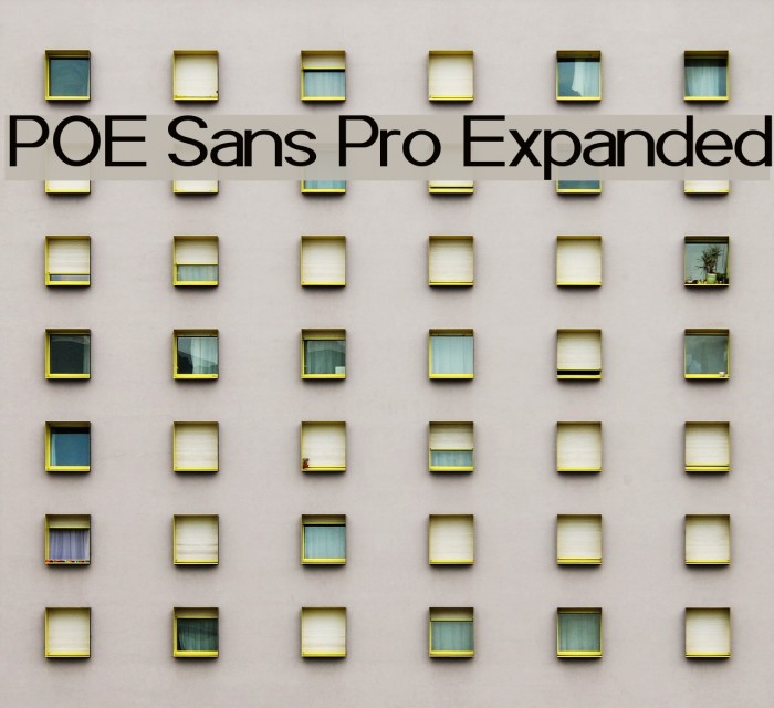 POE Sans Pro Expanded Example 2