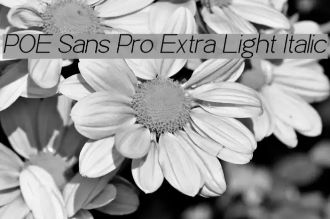 POE Sans Pro Extra Light Italic examples