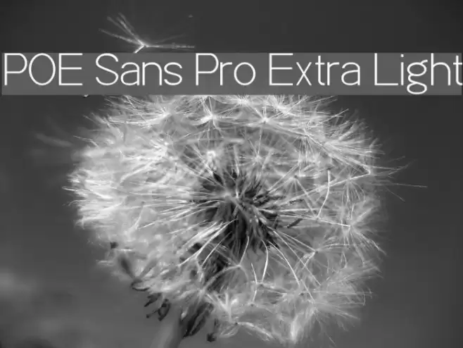 POE Sans Pro Extra Light Font examples