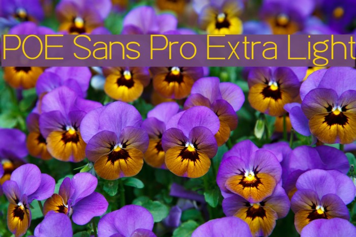 POE Sans Pro Extra Light Font examples