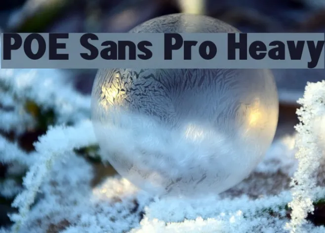 POE Sans Pro Heavy Example 1