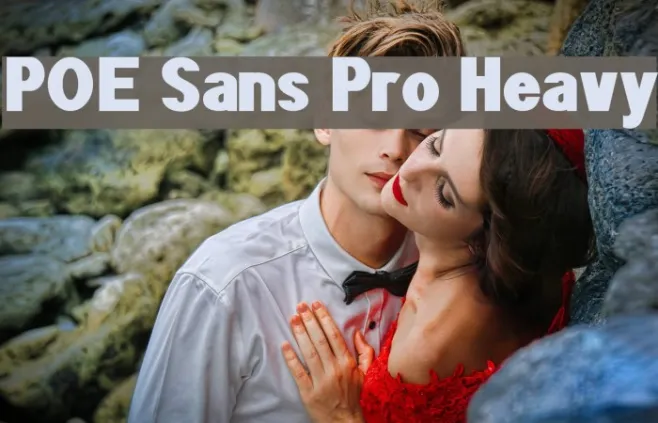 POE Sans Pro Heavy Example 2