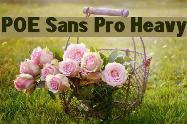 POE Sans Pro Heavy Example 3