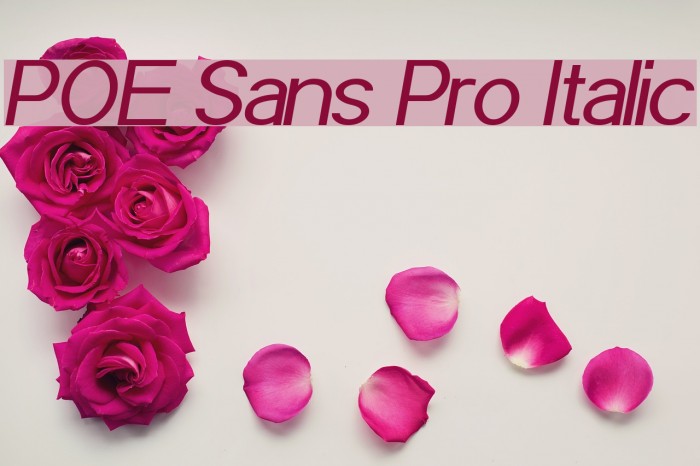 POE Sans Pro Italic Font examples