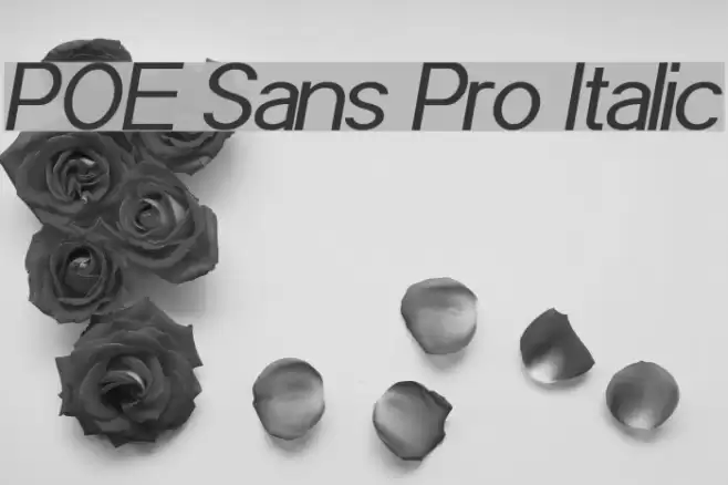 POE Sans Pro Italic Font examples