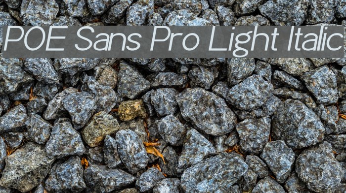 POE Sans Pro Light Italic Font examples