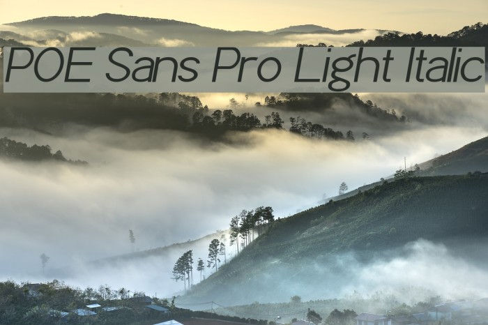 POE Sans Pro Light Italic Font examples