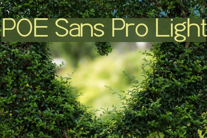 POE Sans Pro Light Font examples