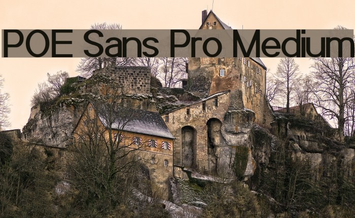 POE Sans Pro Medium Font examples
