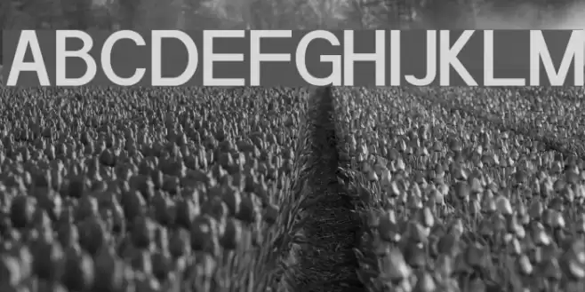 POE Sans Pro Semi-bold Font examples