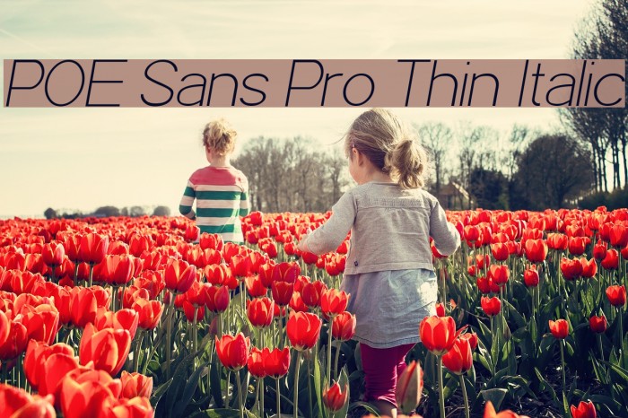 POE Sans Pro Thin Italic Font examples