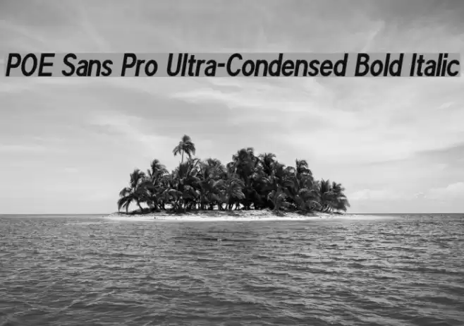 POE Sans Pro Ultra-Condensed Bold Italic Font examples