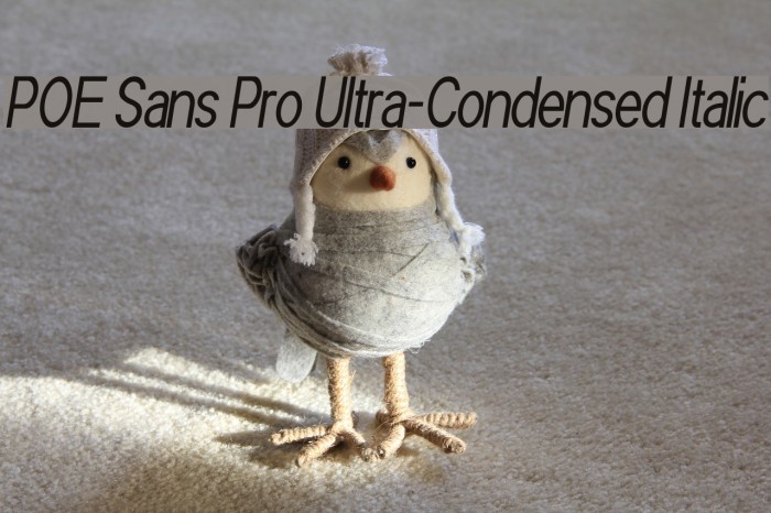 POE Sans Pro Ultra-Condensed Italic Font examples