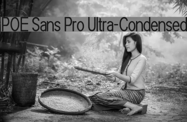 POE Sans Pro Ultra-Condensed Font examples