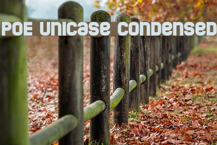 POE Unicase Condensed Font examples