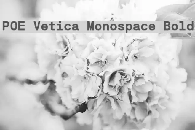 POE Vetica Monospace Bold Font examples