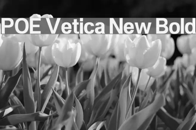 POE Vetica New Bold Font examples