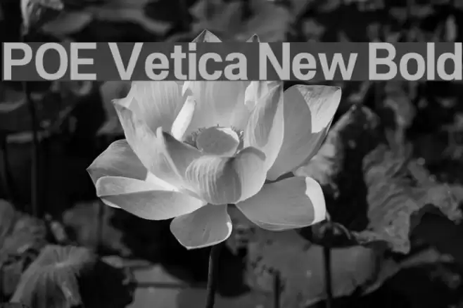 POE Vetica New Bold Font examples