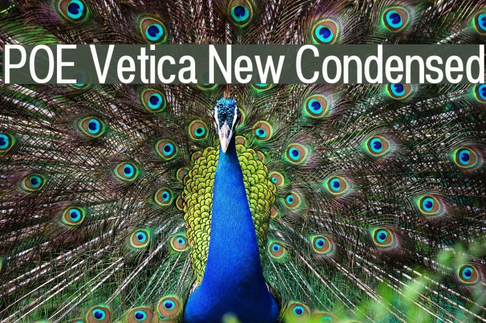 POE Vetica New Condensed Font examples