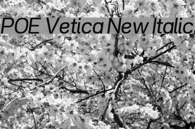 POE Vetica New Italic Font examples