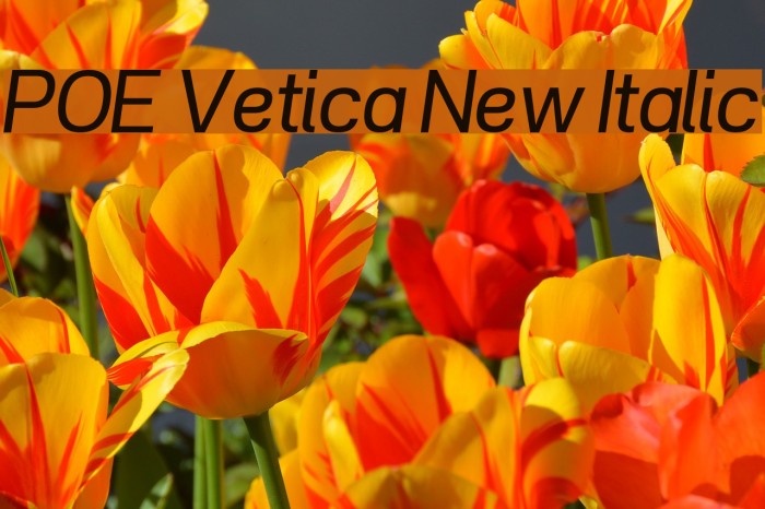POE Vetica New Italic Font examples