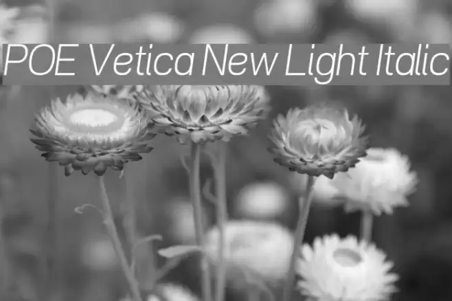 POE Vetica New Light Italic  examples