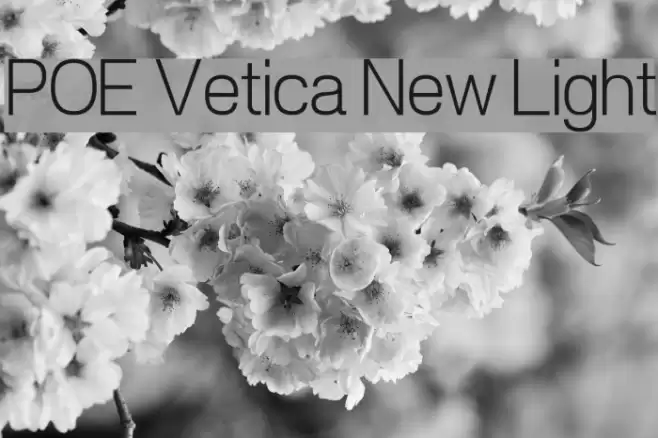 POE Vetica New Light Font examples
