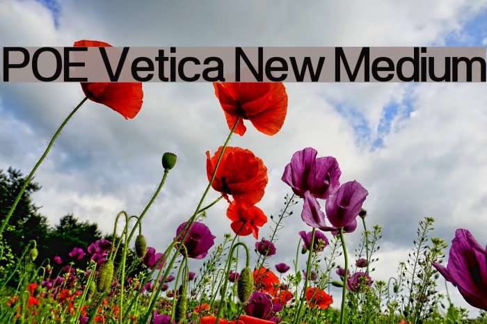 POE Vetica New Medium Font examples