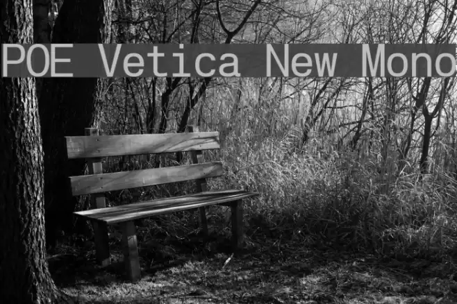 POE Vetica New Mono Font examples