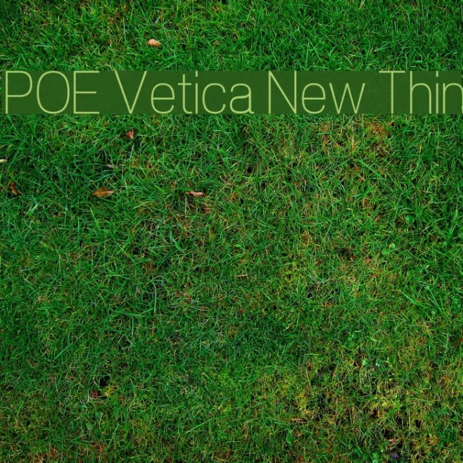 POE Vetica New Thin Example 2
