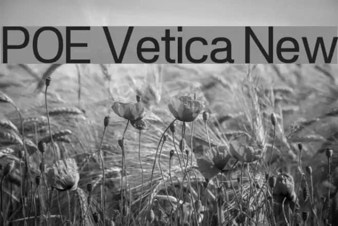 POE Vetica New Font examples