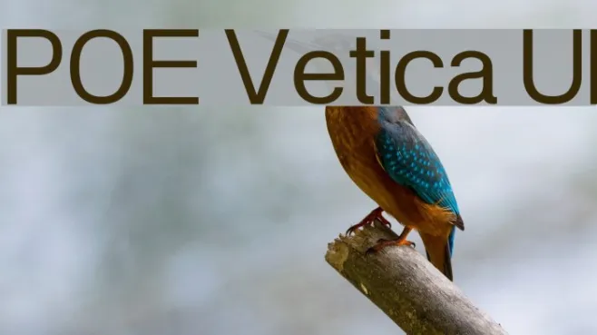 POE Vetica UI Example 2