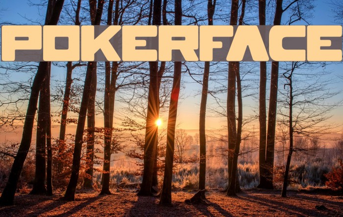 POKERFACE Font examples