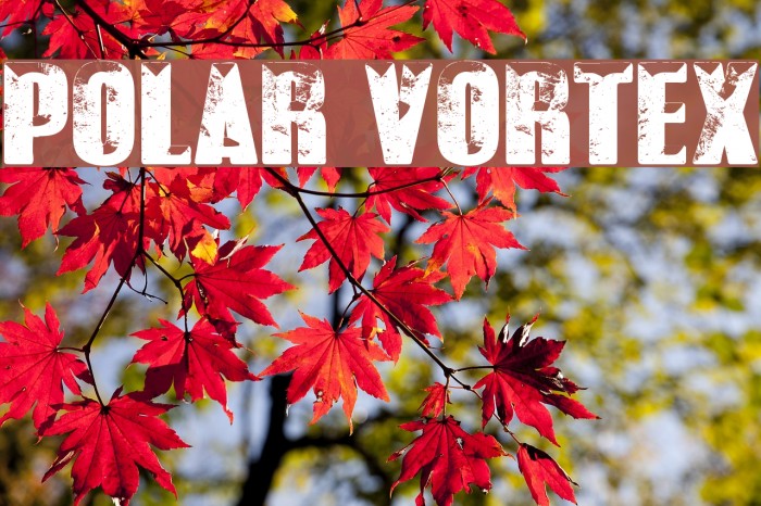 POLAR VORTEX Font examples