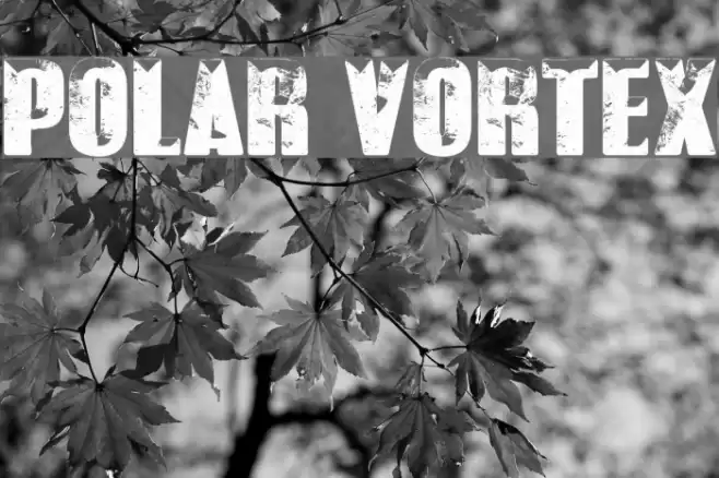POLAR VORTEX Schriftart examples