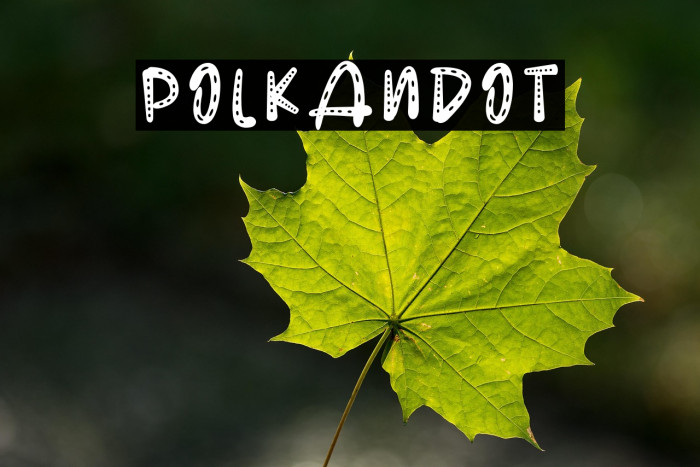 POLKANDOT Example 3