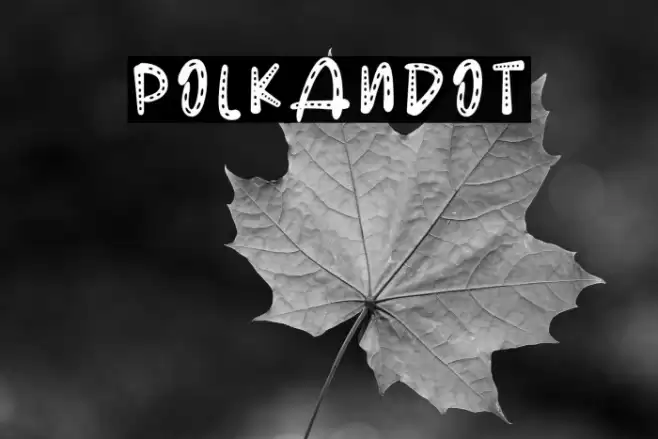 POLKANDOT Font examples