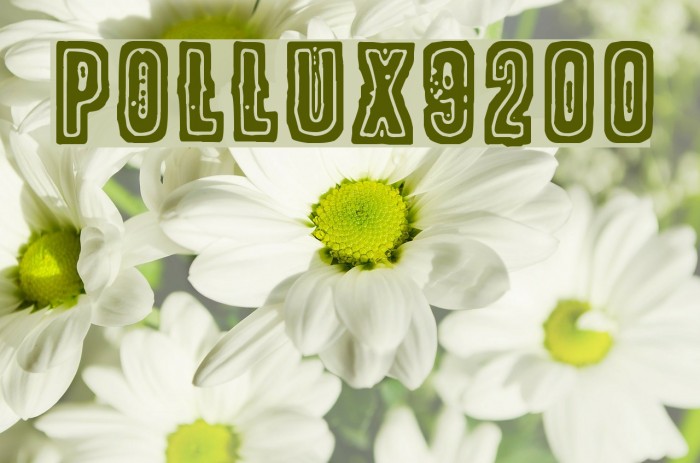POLLUX9200 Font examples