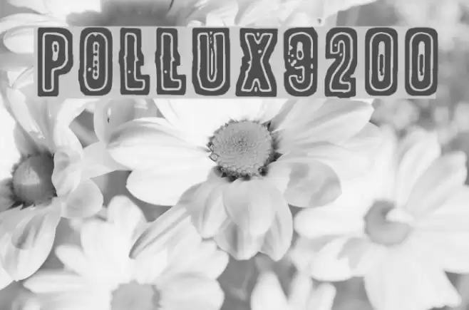 POLLUX9200 Schriftart examples