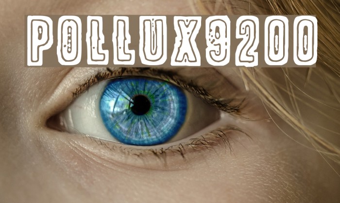 POLLUX9200 Font examples