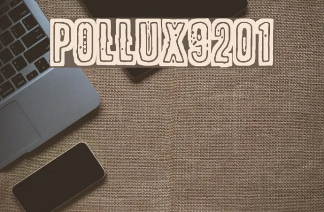 POLLUX9201 Example 1