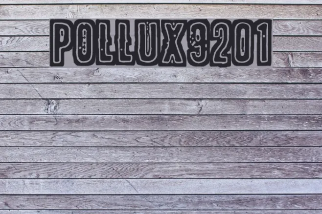 POLLUX9201 Example 3