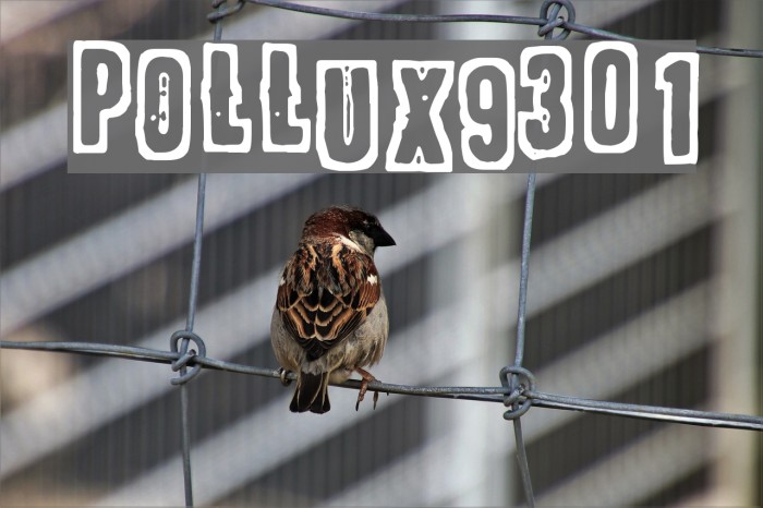 POLLUX9301 Font examples