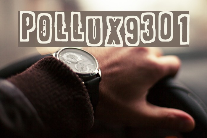 POLLUX9301 Font examples