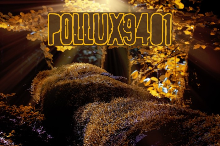 POLLUX9401 Font examples