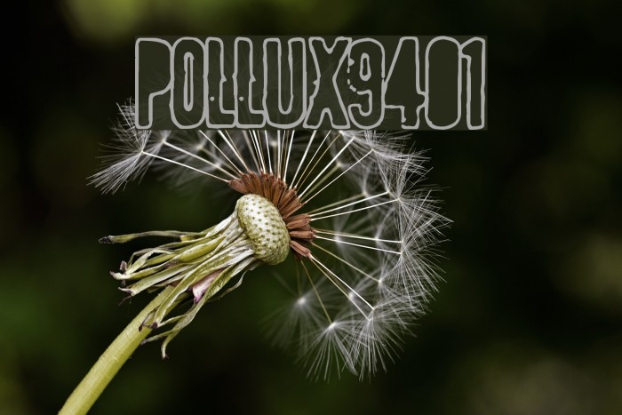 POLLUX9401 Font examples