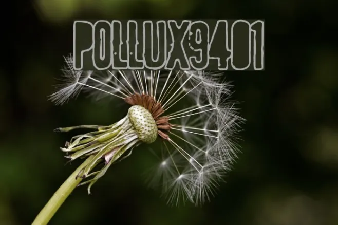 POLLUX9401 Example 3