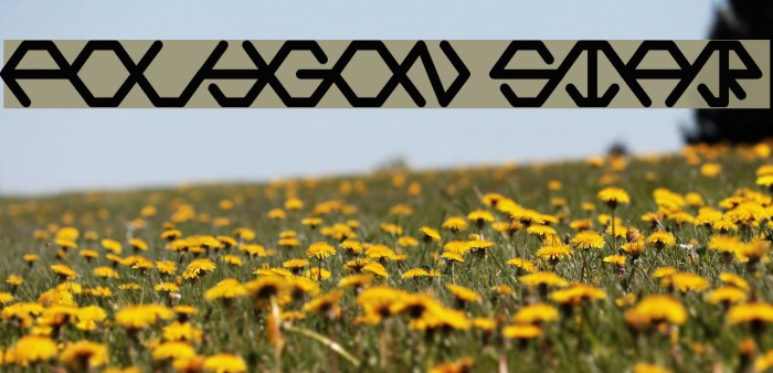 POLYGON STAR Example 2